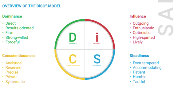 Everything DiSC® Sales - Image 2