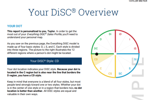 Everything DiSC® Sales - Image 3