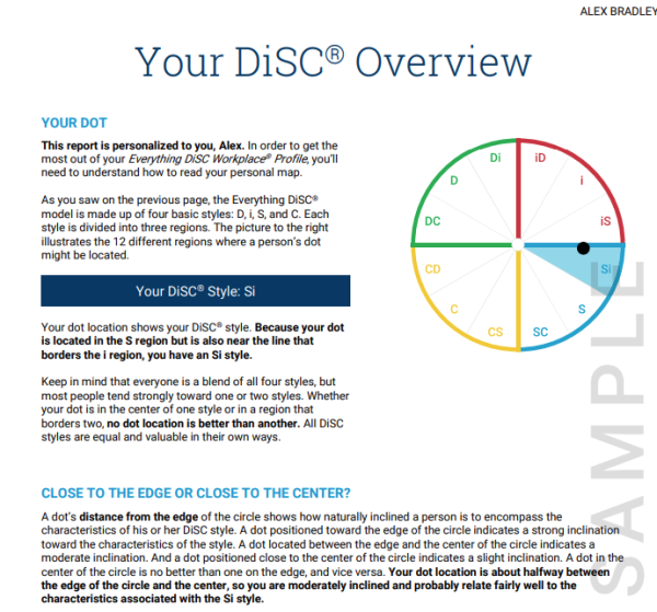 Everything DiSC® Workplace® - Image 3