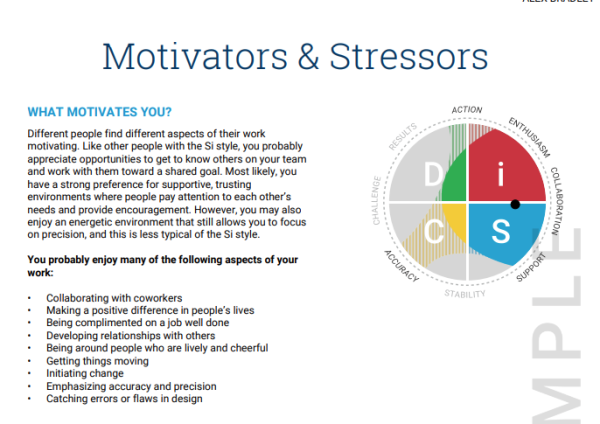 Everything DiSC® Workplace® - Image 5