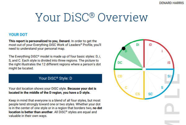 Everything DiSC® Work of Leaders - Image 2