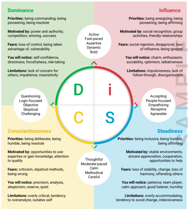 Everything DiSC® Work of Leaders - Image 4
