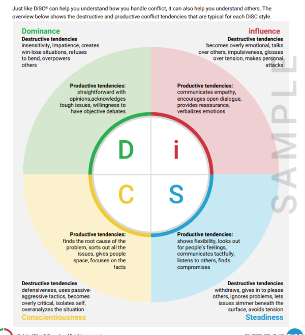 Everything DiSC® Productive Conflict - Image 3