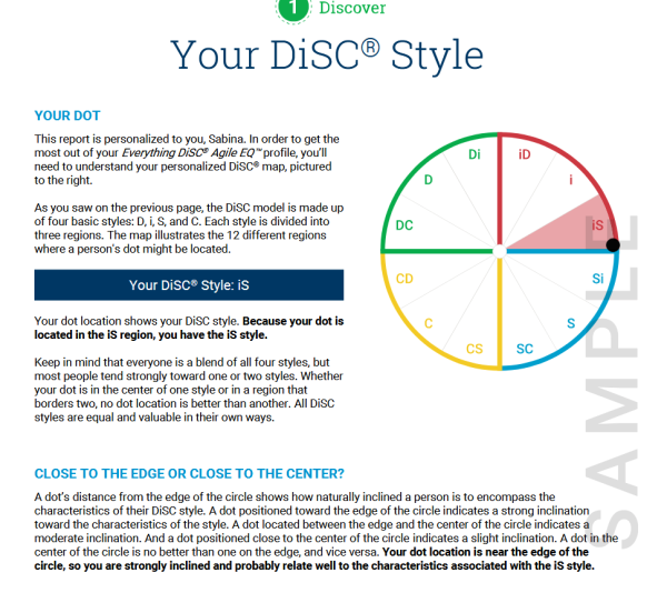 Everything DiSC® Agile EQ™ - Image 3