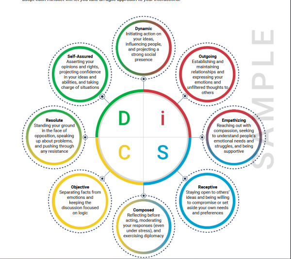 Everything DiSC® Agile EQ™ - Image 4