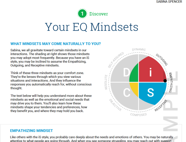 Everything DiSC® Agile EQ™ - Image 5